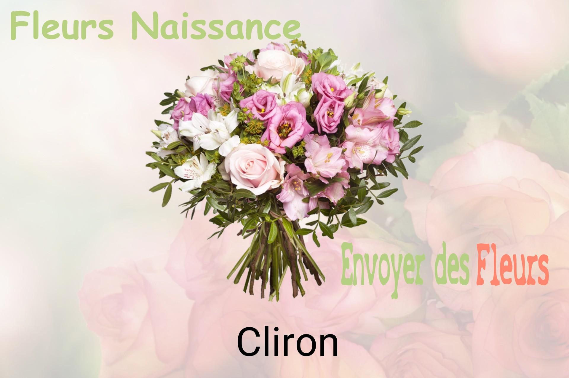 Bouquet de fleurs de naissance livré à Cliron