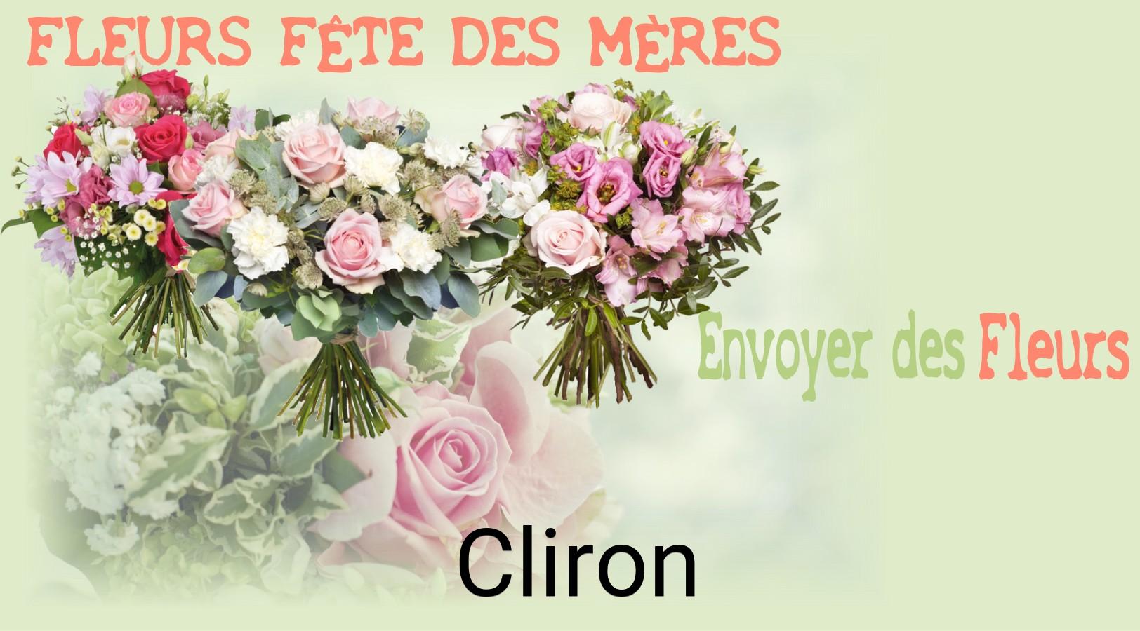 Bouquet de Fête des Mères livré à Cliron
